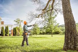 Best Hedge Trimming  in Port Washington, WI