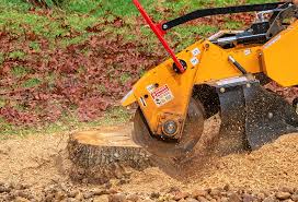 Best Tree Trimming and Pruning  in Port Washington, WI
