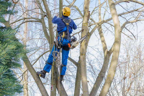 Best Pest Control for Lawns  in Port Washington, WI