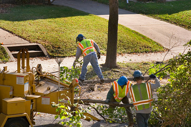 Best Seasonal Cleanup (Spring/Fall)  in Port Washington, WI
