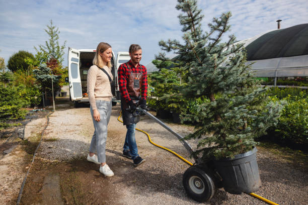 Best Organic Lawn Care Solutions  in Port Washington, WI